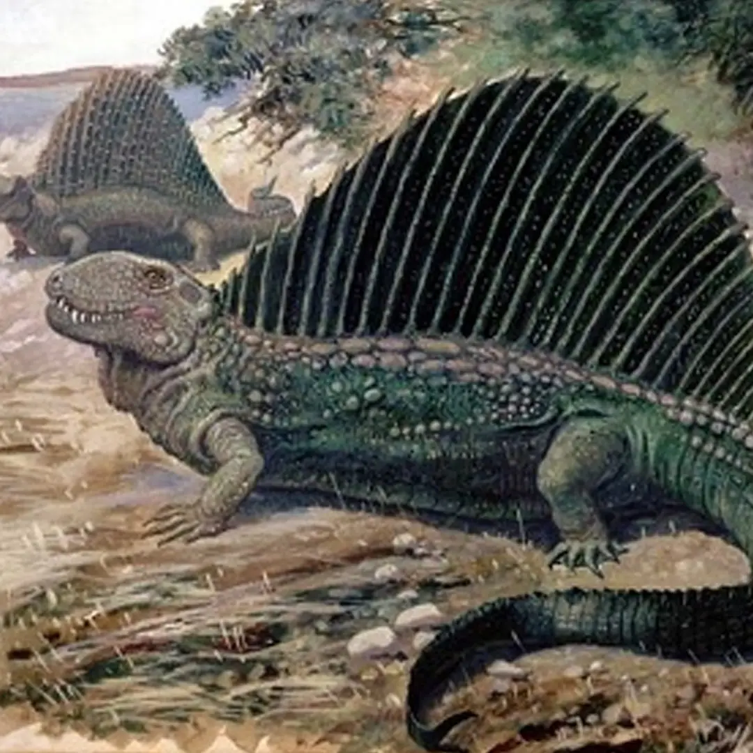Dimetrodon teutonis: el depredador miniatura que rompió las reglas del Pérmico